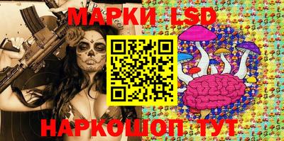 МДПВ Бийск