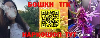 МДПВ Бийск